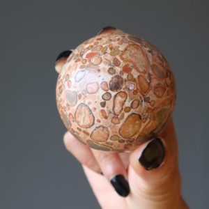 Shop Jasper Shapes! Safari Jasper Sphere, Leopard Crystal Ball | Natural genuine stones & crystals in various shapes & sizes. Buy raw cut, tumbled, or polished gemstones for making jewelry or crystal healing energy vibration raising reiki stones. #crystals #gemstones #crystalhealing #crystalsandgemstones #energyhealing #affiliate #ad