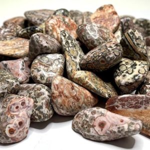 Leopardskin Jasper Tumbled Stones | Natural genuine stones & crystals in various shapes & sizes. Buy raw cut, tumbled, or polished gemstones for making jewelry or crystal healing energy vibration raising reiki stones. #crystals #gemstones #crystalhealing #crystalsandgemstones #energyhealing #affiliate #ad