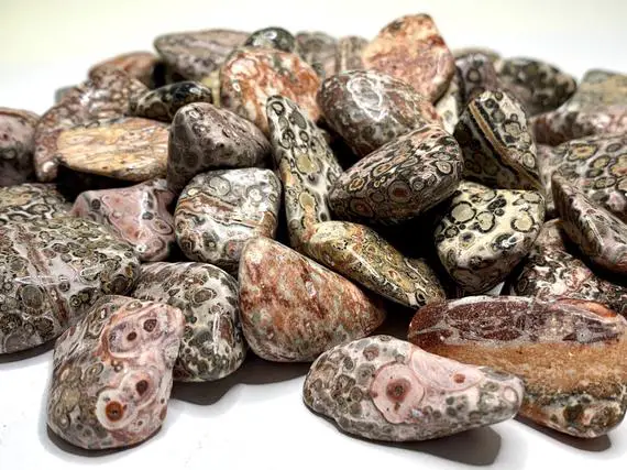 Leopardskin Jasper Tumbled Stones