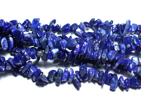 30pc - Perles Pierre - Lapis Lazuli Rocailles Chips 4-12mm Bleu Roi Nuit Doré - 7427039737548