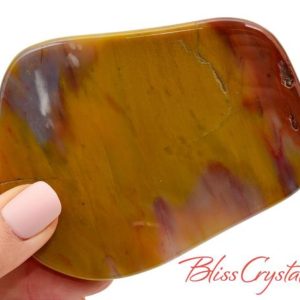 Shop Petrified Wood Shapes! 3.7" PETRIFIED WOOD Slab Stone + Stand #PW44 | Natural genuine stones & crystals in various shapes & sizes. Buy raw cut, tumbled, or polished gemstones for making jewelry or crystal healing energy vibration raising reiki stones. #crystals #gemstones #crystalhealing #crystalsandgemstones #energyhealing #affiliate #ad