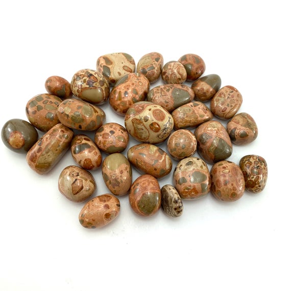 Brown Rhyolite, Tumbled "leopardskin" Jasper, Tumbled Rhyolite, T-38