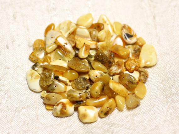 20pc - Perles Ambre Naturelle Miel Lait - Rocailles Chips 8-11mm - 4558550087676