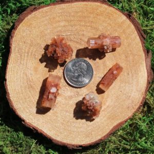 Shop Raw & Rough Aragonite Stones! Aragonite Raw Specimens Medium | Natural genuine stones & crystals in various shapes & sizes. Buy raw cut, tumbled, or polished gemstones for making jewelry or crystal healing energy vibration raising reiki stones. #crystals #gemstones #crystalhealing #crystalsandgemstones #energyhealing #affiliate #ad