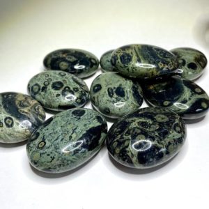 Shop Jasper Stones & Crystals! Kambaba Jasper Palm Stone | Natural genuine stones & crystals in various shapes & sizes. Buy raw cut, tumbled, or polished gemstones for making jewelry or crystal healing energy vibration raising reiki stones. #crystals #gemstones #crystalhealing #crystalsandgemstones #energyhealing #affiliate #ad