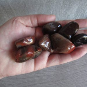 Shop Tumbled Petrified Wood Crystals & Pocket Stones! Petrified Wood 1 inch + Tumbled Stone T84 | Natural genuine stones & crystals in various shapes & sizes. Buy raw cut, tumbled, or polished gemstones for making jewelry or crystal healing energy vibration raising reiki stones. #crystals #gemstones #crystalhealing #crystalsandgemstones #energyhealing #affiliate #ad