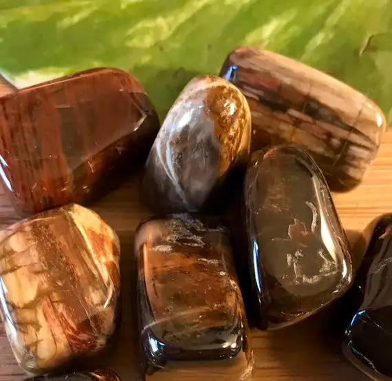 Tumbled Petrified Wood  Stones Set With Gift Bag And Note