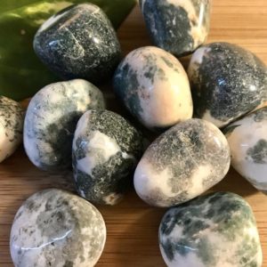 Shop Dendritic Agate Stones & Crystals! Tumbled Tree Dendritic Agate Stones Set with Gift Bag and Note | Natural genuine stones & crystals in various shapes & sizes. Buy raw cut, tumbled, or polished gemstones for making jewelry or crystal healing energy vibration raising reiki stones. #crystals #gemstones #crystalhealing #crystalsandgemstones #energyhealing #affiliate #ad