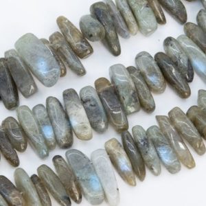Shop Labradorite Chip & Nugget Beads! Genuine Natural Gray Labradorite Loose Beads Grade AAA Stick Pebble Chip Shape 12-24×3-5mm | Natural genuine chip Labradorite beads for beading and jewelry making.  #jewelry #beads #beadedjewelry #diyjewelry #jewelrymaking #beadstore #beading #affiliate #ad