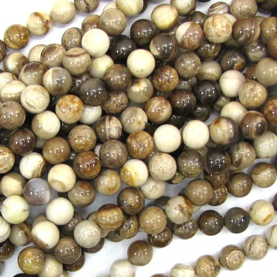 10mm Petrified Wood Agate Round Beads 15.5" Strand S3