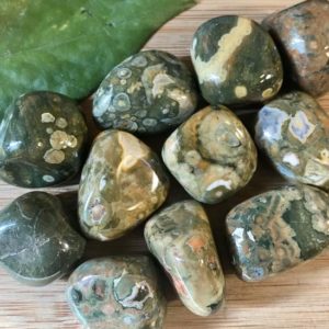 Shop Rainforest Jasper Stones & Crystals! Tumbled Rhyolite Stones Set with Gift Bag and Note | Natural genuine stones & crystals in various shapes & sizes. Buy raw cut, tumbled, or polished gemstones for making jewelry or crystal healing energy vibration raising reiki stones. #crystals #gemstones #crystalhealing #crystalsandgemstones #energyhealing #affiliate #ad