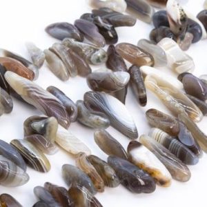 Shop Agate Chip & Nugget Beads! Genuine Natural Botswana Agate Loose Beads Grade AAA Stick Pebble Chip Shape 12-24×3-5mm | Natural genuine chip Agate beads for beading and jewelry making.  #jewelry #beads #beadedjewelry #diyjewelry #jewelrymaking #beadstore #beading #affiliate #ad