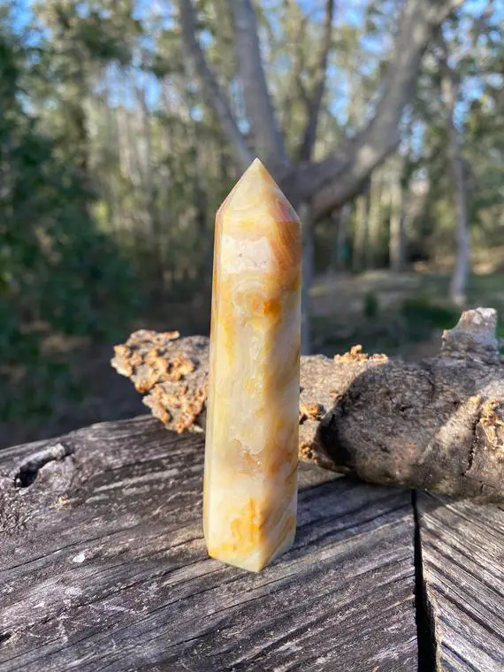 Crazy Lace Agate Crystal Point - Druzy Vug !! - Reiki Charged - Healing Energy - Emotional Stability - Grounding & Protection - Optimism #5