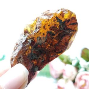 Shop Amber Stones & Crystals! GENUINE DOMINICAN Amber, Rough Amber, Raw Amber, Natural Amber, Amber Stone, Worry Stone, Amber Ring, Blue Amber, Amber With Insect, Fossil | Natural genuine stones & crystals in various shapes & sizes. Buy raw cut, tumbled, or polished gemstones for making jewelry or crystal healing energy vibration raising reiki stones. #crystals #gemstones #crystalhealing #crystalsandgemstones #energyhealing #affiliate #ad