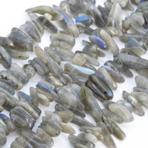 Shop Labradorite Chip & Nugget Beads! Genuine Natural Labradorite Loose Beads Grade AA Gray Stick Pebble Chip Shape 12-24×3-5mm | Natural genuine chip Labradorite beads for beading and jewelry making.  #jewelry #beads #beadedjewelry #diyjewelry #jewelrymaking #beadstore #beading #affiliate #ad
