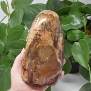 Shop Petrified Wood Points & Wands! Petrified wood free form self standing natural fossil wood crystal tower polished stone | Natural genuine stones & crystals in various shapes & sizes. Buy raw cut, tumbled, or polished gemstones for making jewelry or crystal healing energy vibration raising reiki stones. #crystals #gemstones #crystalhealing #crystalsandgemstones #energyhealing #affiliate #ad