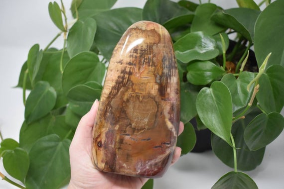 Petrified Wood Free Form Self Standing Natural Fossil Wood Crystal Tower Polished Stone