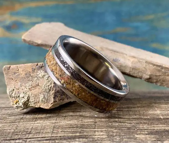 Petrified Wood, Gibeon Meteorite Ring - Unique Mens Titanium Wedding Band