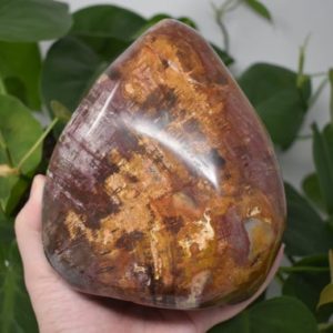 Petrified wood naturally crystallized fossil wood polished crystal free form self standing large flamed tower | Natural genuine stones & crystals in various shapes & sizes. Buy raw cut, tumbled, or polished gemstones for making jewelry or crystal healing energy vibration raising reiki stones. #crystals #gemstones #crystalhealing #crystalsandgemstones #energyhealing #affiliate #ad