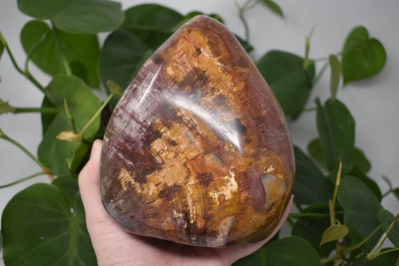 Petrified Wood Naturally Crystallized Fossil Wood Polished Crystal Free Form Self Standing Large Flamed Tower