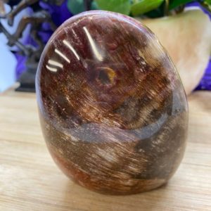 Shop Petrified Wood Stones & Crystals! Petrified Wood free form altar stone polished PET3 CASE 5 | Natural genuine stones & crystals in various shapes & sizes. Buy raw cut, tumbled, or polished gemstones for making jewelry or crystal healing energy vibration raising reiki stones. #crystals #gemstones #crystalhealing #crystalsandgemstones #energyhealing #affiliate #ad
