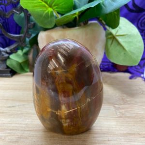 Shop Petrified Wood Stones & Crystals! Petrified Wood free form altar stone polished PET4 CASE 5 | Natural genuine stones & crystals in various shapes & sizes. Buy raw cut, tumbled, or polished gemstones for making jewelry or crystal healing energy vibration raising reiki stones. #crystals #gemstones #crystalhealing #crystalsandgemstones #energyhealing #affiliate #ad
