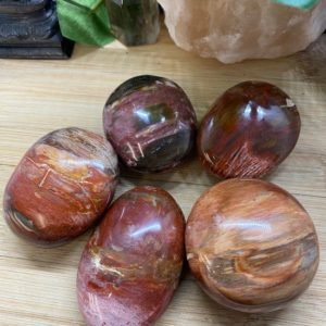 Petrified Wood Palm Stone polished | Natural genuine stones & crystals in various shapes & sizes. Buy raw cut, tumbled, or polished gemstones for making jewelry or crystal healing energy vibration raising reiki stones. #crystals #gemstones #crystalhealing #crystalsandgemstones #energyhealing #affiliate #ad