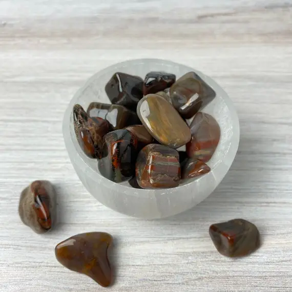 Petrified Wood Tumbled Stone, Crystals, Fossil Wood, Pocket Stone, Healing Crystals And Stones, Minerals And Crystals, Fossilized Wood