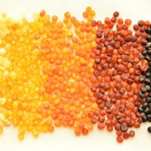 Shop Gemstone Chip & Nugget Beads! RAW Natural Baltic Amber Beads BAROQUE Style Unpolished Stone, 4-7 mm size, Genuine Unpolished Stones, Honey, Cherry, Cognac, Lemon, Yolk | Natural genuine chip Gemstone beads for beading and jewelry making.  #jewelry #beads #beadedjewelry #diyjewelry #jewelrymaking #beadstore #beading #affiliate #ad