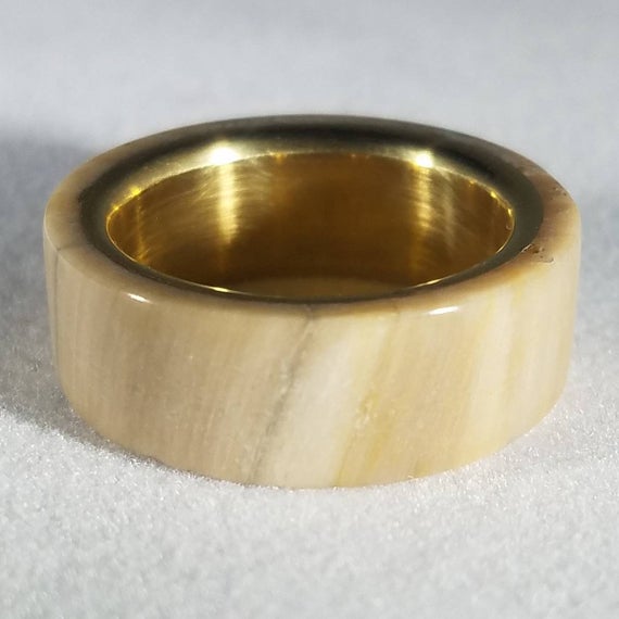 South Dakota Native* Petrified Wood Ring*brass Inner Lined*