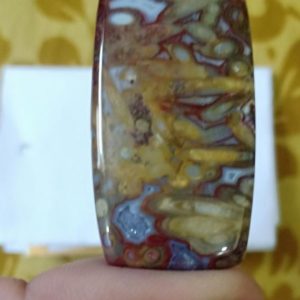 Shop Agate Shapes! Palm root agate 23x46x5 mm( free size) natural gems stone | Natural genuine stones & crystals in various shapes & sizes. Buy raw cut, tumbled, or polished gemstones for making jewelry or crystal healing energy vibration raising reiki stones. #crystals #gemstones #crystalhealing #crystalsandgemstones #energyhealing #affiliate #ad