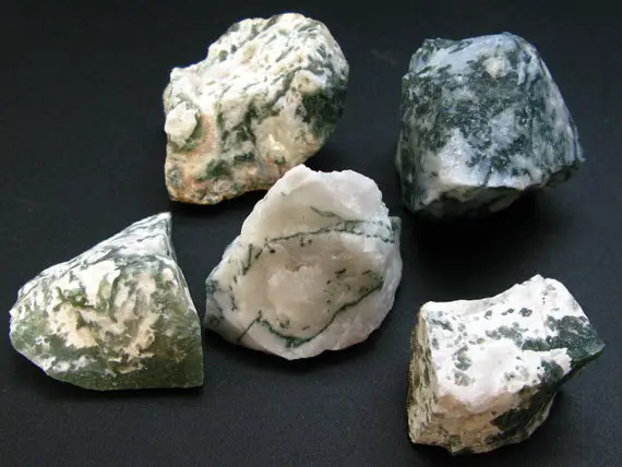 Tree Agate!! Lot Of 5 Raw Moss Agate Stone From Usa