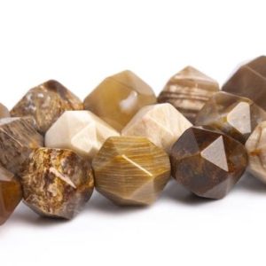 Shop Petrified Wood Beads! America Petrified Wood Jasper Beads Star Cut Faceted Grade AAA Genuine Natural Loose Beads 5-6MM 7-8MM 9-10MM Bulk Lot Options | Natural genuine faceted Petrified Wood beads for beading and jewelry making.  #jewelry #beads #beadedjewelry #diyjewelry #jewelrymaking #beadstore #beading #affiliate #ad