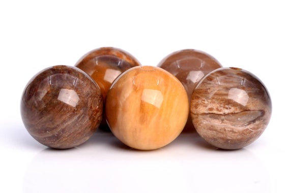 Genuine Natural Petrified Wood Jasper Gemstone Beads 6mm Brown Round Aaa Quality Loose Beads (103669)
