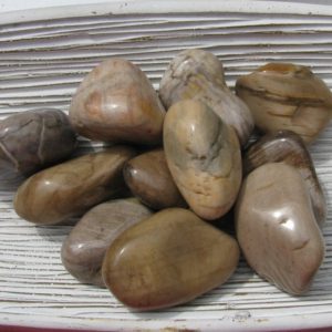Shop Tumbled Petrified Wood Crystals & Pocket Stones! Petrified Wood – Fossilized Wood – Fossil Wood – Tumbled Stones – Transformation Stone – Energy Stone – Calming Stone – Grounding Stone | Natural genuine stones & crystals in various shapes & sizes. Buy raw cut, tumbled, or polished gemstones for making jewelry or crystal healing energy vibration raising reiki stones. #crystals #gemstones #crystalhealing #crystalsandgemstones #energyhealing #affiliate #ad