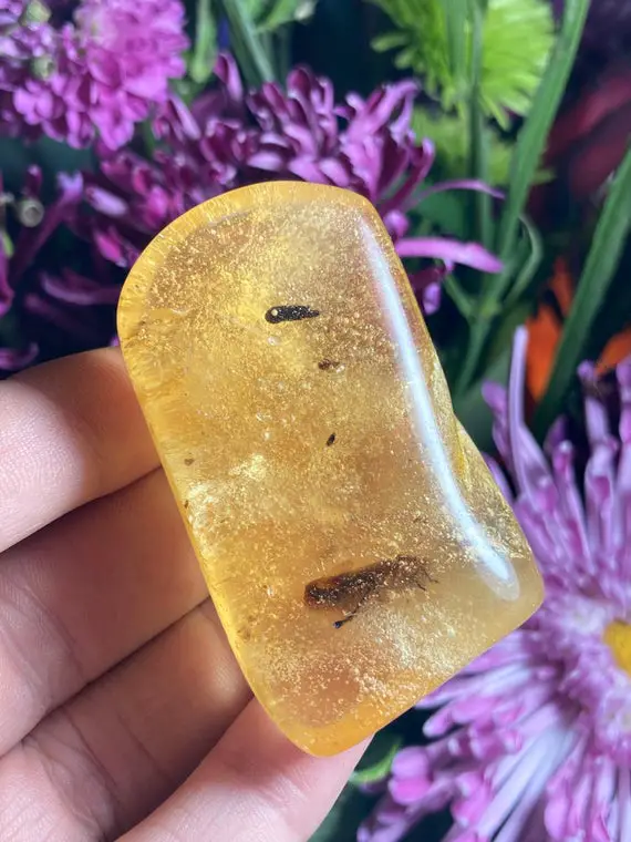 Amber With Bugs / Natural Amber / Amber With Insect / Insect Inclusion / Amber Crystal / Polished Amber / Amber Specimen / Altar Stone