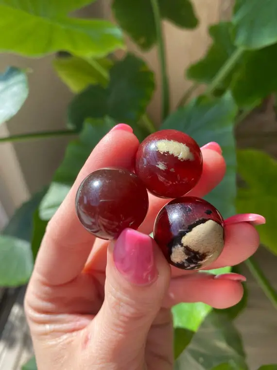 Small Indonesian Brown Amber Sphere, Amber, Tumbled Amber, Fossilized Tree Resin, Amber , Amber With Bugs