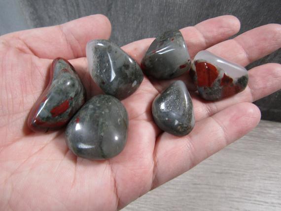 African Bloodstone 1 Inch + Tumbled Stone T 501