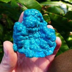 Shop Chrysocolla Stones & Crystals! Rare Blue Chrysocolla Specimen ~ Superb Colours from Congo | Natural genuine stones & crystals in various shapes & sizes. Buy raw cut, tumbled, or polished gemstones for making jewelry or crystal healing energy vibration raising reiki stones. #crystals #gemstones #crystalhealing #crystalsandgemstones #energyhealing #affiliate #ad