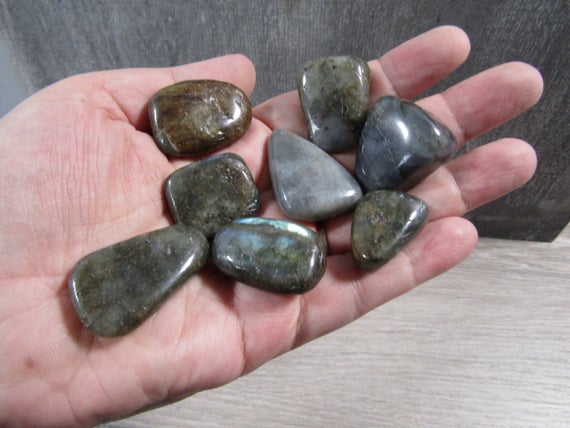 Labradorite 0.75 Inch + Tumbled Stone T61