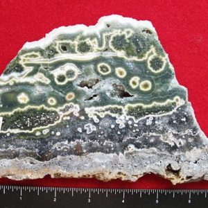 Ocean Jasper – Rough Slab – A+ Insane Patterns – LARGE Thick 7.5" Specimen Rough Display | Natural genuine stones & crystals in various shapes & sizes. Buy raw cut, tumbled, or polished gemstones for making jewelry or crystal healing energy vibration raising reiki stones. #crystals #gemstones #crystalhealing #crystalsandgemstones #energyhealing #affiliate #ad