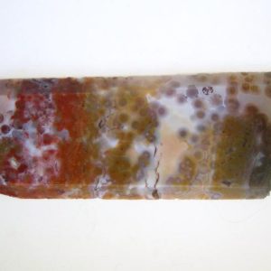 Shop Raw & Rough Ocean Jasper Stones! Ocean Jasper Slab Rough, Display Specimen, Madagascar, Old stock, Multicolored, Very agatized, A few small vugs, No fractures, Dense, Large | Natural genuine stones & crystals in various shapes & sizes. Buy raw cut, tumbled, or polished gemstones for making jewelry or crystal healing energy vibration raising reiki stones. #crystals #gemstones #crystalhealing #crystalsandgemstones #energyhealing #affiliate #ad