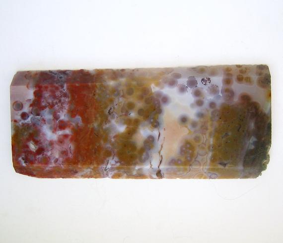 Ocean Jasper Slab Rough, Display Specimen, Madagascar, Old Stock, Multicolored, Very Agatized, A Few Small Vugs, No Fractures, Dense, Large