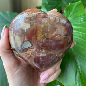Shop Petrified Wood Shapes! Petrified wood heart | Natural genuine stones & crystals in various shapes & sizes. Buy raw cut, tumbled, or polished gemstones for making jewelry or crystal healing energy vibration raising reiki stones. #crystals #gemstones #crystalhealing #crystalsandgemstones #energyhealing #affiliate #ad