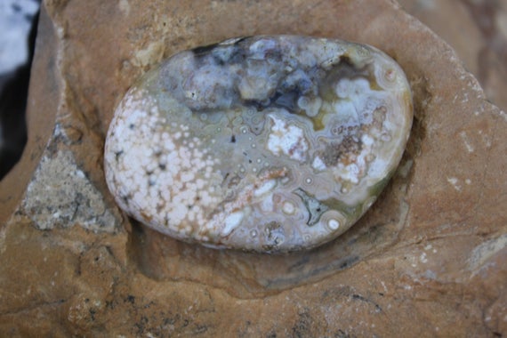 Rare Stone Ocean Jasper Freeform Lapidary Cabochon For Wire Wrapping Or Pendant Making Lapidary Supply Cabochon For Jewelry Focal Stone