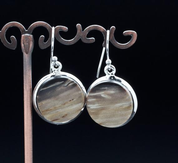 Sterling Silver Petrified Palm Wood Earrings