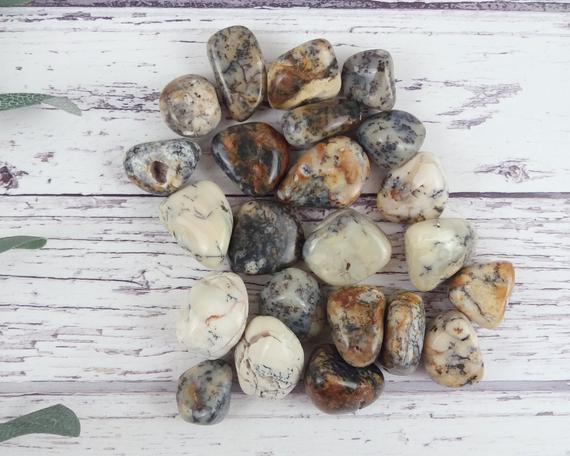 Merlinite Tumbled Stones, Reiki Infused Dendritic Agate Wire Wrapping Self Care Healing Crystals