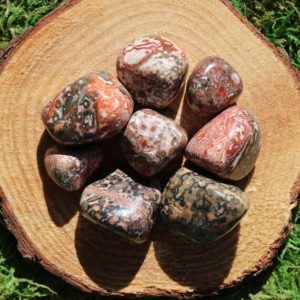 Shop Tumbled Jasper Crystals & Pocket Stones! Leopardskin Jasper Tumbled | Natural genuine stones & crystals in various shapes & sizes. Buy raw cut, tumbled, or polished gemstones for making jewelry or crystal healing energy vibration raising reiki stones. #crystals #gemstones #crystalhealing #crystalsandgemstones #energyhealing #affiliate #ad