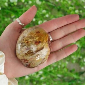 Shop Palm Stones! Petrified Wood Palm Stone | Natural genuine stones & crystals in various shapes & sizes. Buy raw cut, tumbled, or polished gemstones for making jewelry or crystal healing energy vibration raising reiki stones. #crystals #gemstones #crystalhealing #crystalsandgemstones #energyhealing #affiliate #ad