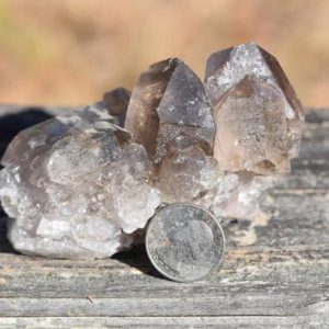 Shop Raw & Rough Smoky Quartz Stones! Rutilated Smoky Quartz Cluster with Brookite | Natural genuine stones & crystals in various shapes & sizes. Buy raw cut, tumbled, or polished gemstones for making jewelry or crystal healing energy vibration raising reiki stones. #crystals #gemstones #crystalhealing #crystalsandgemstones #energyhealing #affiliate #ad